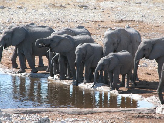 Namibia 2004