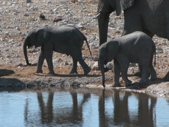 Namibia 2004