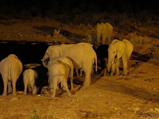 Namibia 2004