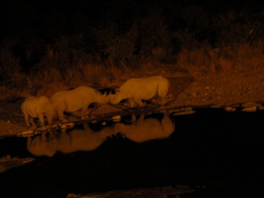 Namibia 2004