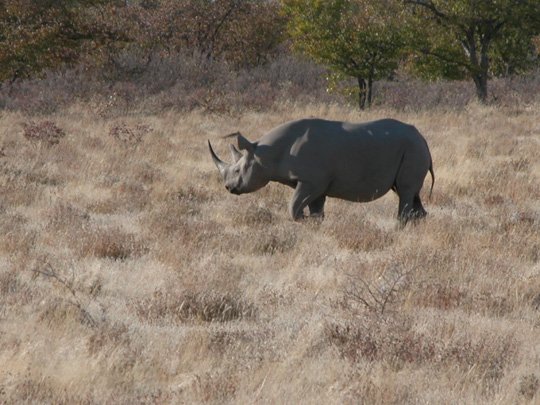 Namibia 2004