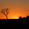 Namibia 2004