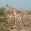 Namibia 2004
