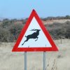 Namibia 2004