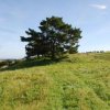 Ostsee 2010